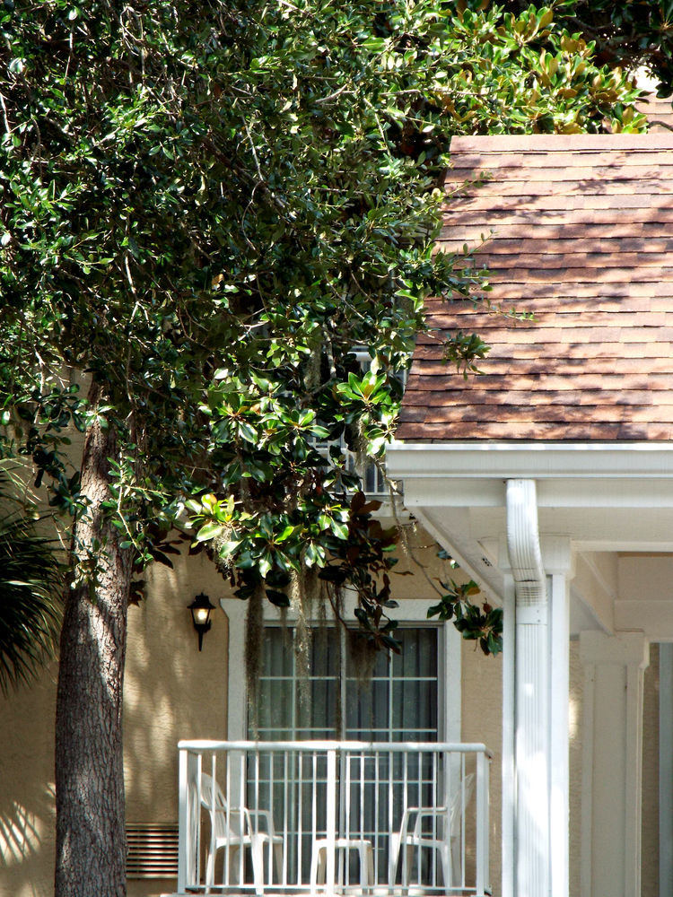 Palmera Inn And Suites Hilton Head Island Buitenkant foto